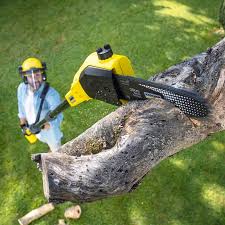 Best Arborist Consultation Services  in Franklinton, NC