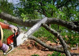 Best Lawn Grading and Leveling  in Franklinton, NC